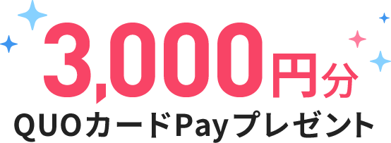 3,000円分QUOカードPayプレゼント